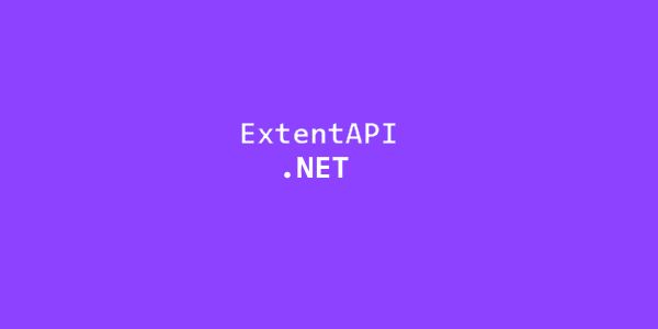 extent-net-pro-600x300